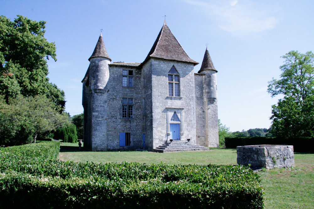 Thénac Gites Du Chateau De Panisseau المظهر الخارجي الصورة